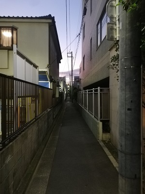 IMG_20181124_165219.jpg