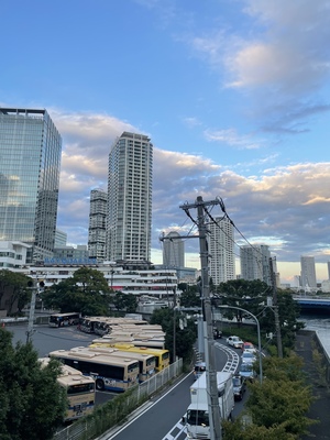 IMG_4560.JPEG
